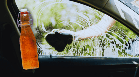 El vinagre de manzana puede servir para quitar olores al interior de un auto. ESPECIAL / CANVA