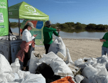 Las cifras reportadas derivan de 30 jornadas de limpieza previas, así como de una jornada simultánea en 14 playas de nueve municipios. GOBIERNO DE YUCATÁN