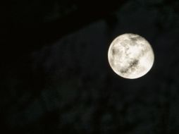 Diciembre recibirá un fenómeno lunar notable que concluirá una secuencia de superlunas que han capturado la atención en meses pasados. CANVA