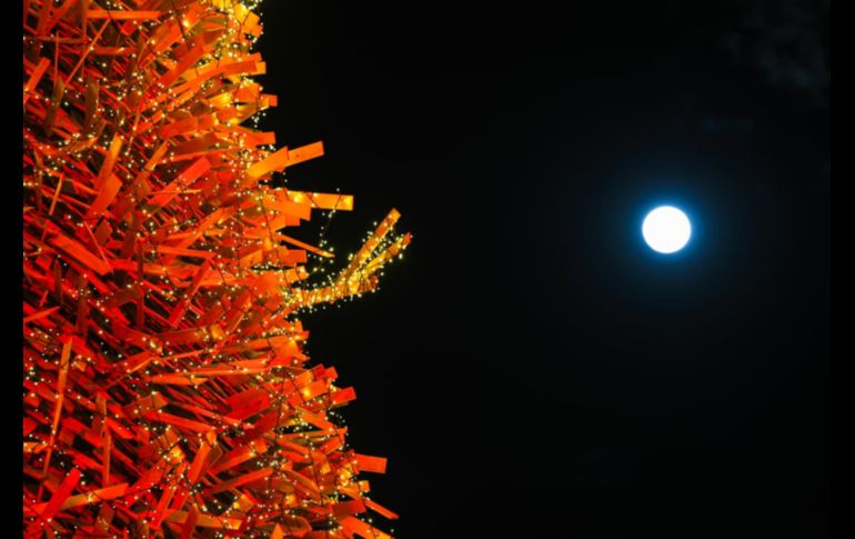 Este 2025 Navidalia espera recibir 100 mil asistentes los 23 días que se realizará el evento. EL INFORMADOR / J. AcostaEste 2025 Navidalia espera recibir 100 mil asistentes los 23 días que se realizará el evento. EL INFORMADOR / J. Acosta