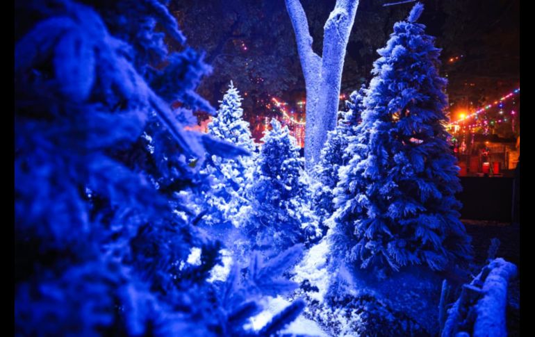 Este 2025 Navidalia espera recibir 100 mil asistentes los 23 días que se realizará el evento. EL INFORMADOR / J. Acosta