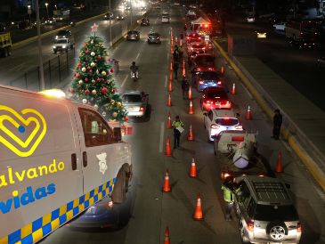 La Policía Vial Estatal ha logrado la detención de 325 conductores al mes en promedio en lo que va del año. EL INFORMADOR / ARCHIVO