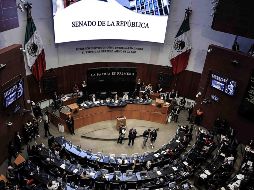 El dictamen fue avalado por la mayoría de Morena y aliados con 84 votos a favor mientras que hubo 36 en contra de las bancadas del PRI, PAN y Movimiento Ciudadano. SUN