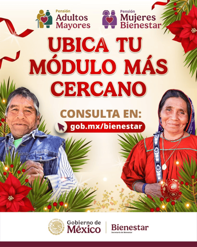 &nbsp;Para llenar el registro deberás acudir al Módulo del Bienestar más cercano de tu hogar. ESPECIAL