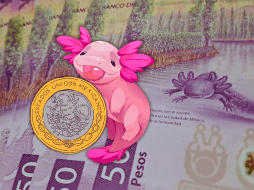 El peso mexicano se apreció el viernes 0.3% y acabó sobre 18.18 unidades por dólar, su cierre más fuerte desde julio de 2024. EL INFORMADOR / O. Álvarez