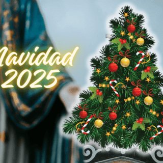 ¿Por qué se dice que el 8 de diciembre debe ponerse el árbol de Navidad?