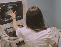 Nucleus Embryo es un proyecto estadounidense de amplificación del genoma humano. ESPECIAL
