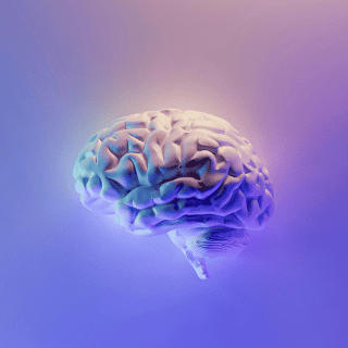 Chip del grosor de un cabello ayudaría en enfermedades neurológicas