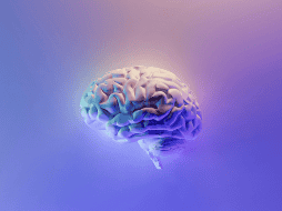 Gracias a un diseño 'mínimamente invasivo' este chip creado por científicos se podrá usar en el tratamiento de afecciones neurológicas. UNSPLASH / Milad Fakurian