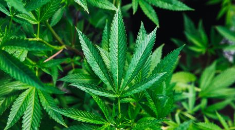 La cita para ser partícipe de este evento iniciará a las 04:20 pm. Unsplash