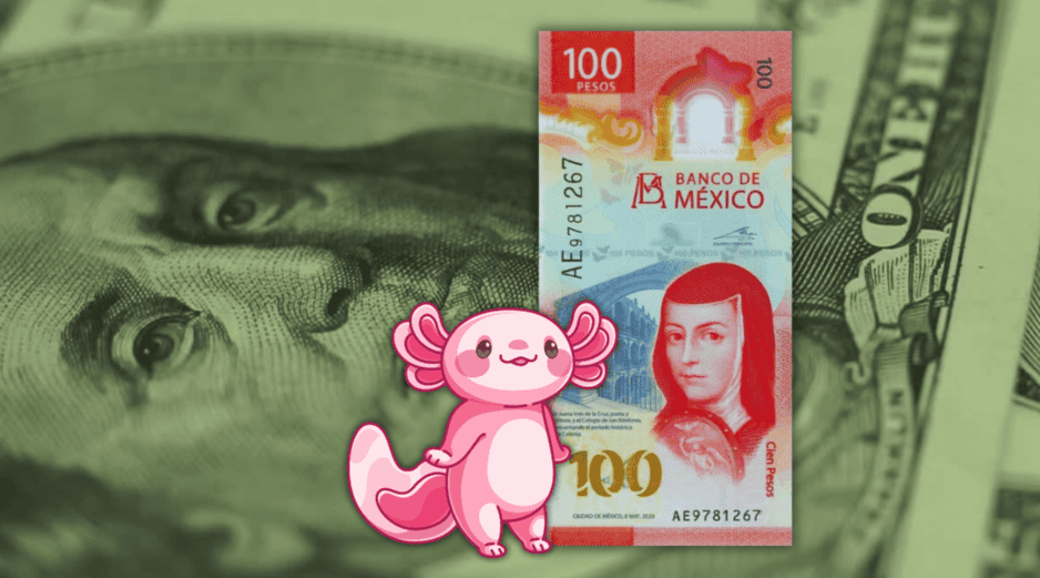Es importante recordar que la cotización del dólar se actualiza a lo largo del día, por lo que es necesario revisarla constantemente si se requiere para alguna ejecución financiera. ESPECIAL / CANVA