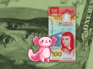 Es importante recordar que la cotización del dólar se actualiza a lo largo del día, por lo que es necesario revisarla constantemente si se requiere para alguna ejecución financiera. ESPECIAL / CANVA