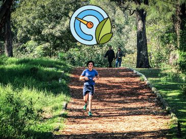 Índice de la calidad por zonas del AMG. EL INFORMADOR / ARCHIVO