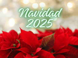 De acuerdo con la UNAM, existen documentos históricos señalan que la Nochebuena tenía usos ceremoniales y medicinales durante la época prehispánica. ESPECIAL