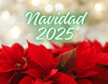 De acuerdo con la UNAM, existen documentos históricos señalan que la Nochebuena tenía usos ceremoniales y medicinales durante la época prehispánica. ESPECIAL