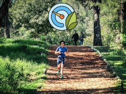 Índice de la calidad por zonas del AMG. / EL INFORMADOR / ARCHIVO