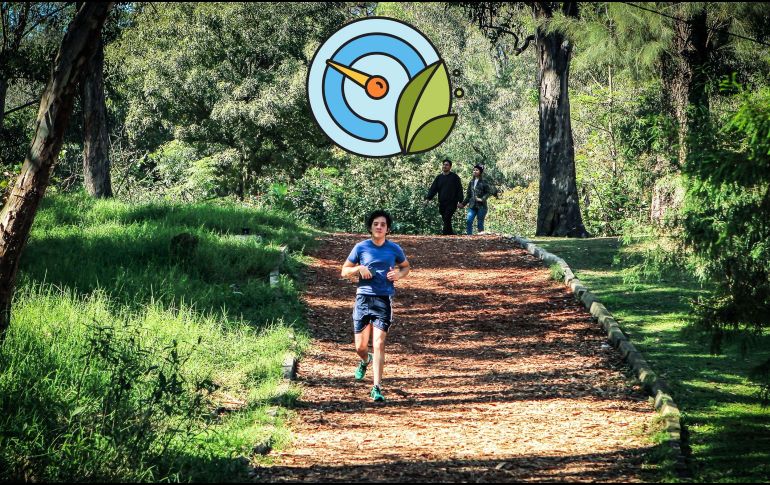 Índice de la calidad por zonas del AMG. / EL INFORMADOR / ARCHIVO