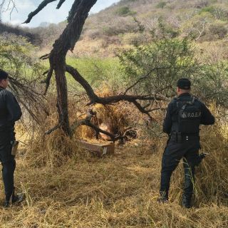 Hallan armas abandonadas en Techaluta; presumen que son las robadas a policías