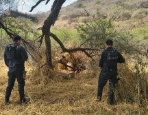 Elementos de la Fuerza de Operaciones Estratégicas de Protección Ciudadana de la Secretaría de Seguridad Jalisco localizaron las 9 armas de fuego. CORTESÍA/SSJ