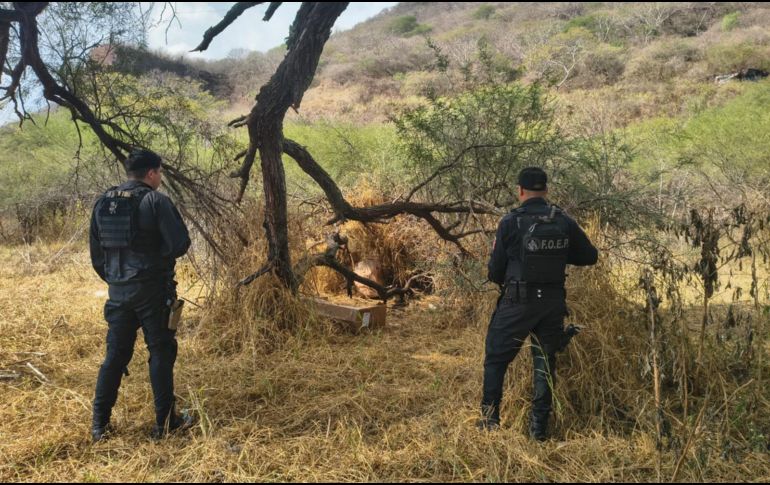 Elementos de la Fuerza de Operaciones Estratégicas de Protección Ciudadana de la Secretaría de Seguridad Jalisco localizaron las nueve armas de fuego. CORTESÍA/SSJ