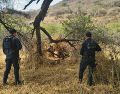Elementos de la Fuerza de Operaciones Estratégicas de Protección Ciudadana de la Secretaría de Seguridad Jalisco localizaron las 9 armas de fuego. CORTESÍA/SSJ