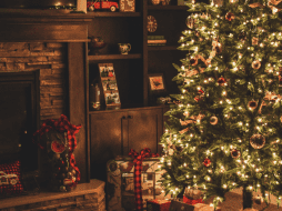 Ambas opciones tienen tanto sus puntos buenos como malos, todo depende de si se manejan adecuadamente. CANVA