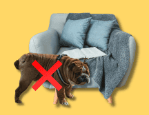 Para enseñar a tu perro a orinar en el lugar adecuado necesitarás de paciencia, dedicación y respeto para él. UNSPLASH  / S. ARTEAGA / UNSPLASH / M. CORONA