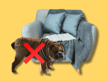 Para enseñar a tu perro a orinar en el lugar adecuado necesitarás de paciencia, dedicación y respeto para él. UNSPLASH  / S. ARTEAGA / UNSPLASH / M. CORONA