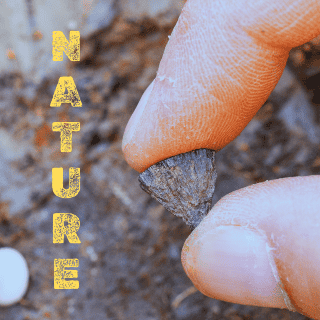 Estas fueron las personas más importantes para la ciencia, según Nature