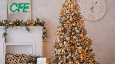 CFE subraya la importancia de adquirir únicamente productos que cuenten con el sello de la NOM. ESPECIAL