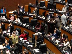 El Senado discutió con carácter de urgente la minuta que propone aranceles a 316 productos importados. SUN/Hugo Salvador