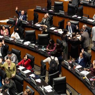 Senado abre debate para establecer aranceles a mercancías provenientes de Asia