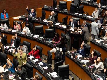 El Senado discutió con carácter de urgente la minuta que propone aranceles a 316 productos importados. SUN/Hugo Salvador