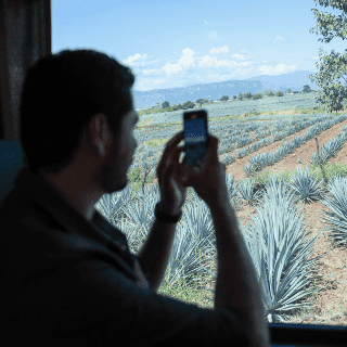 Se estanca afluencia turística en Tequila