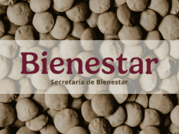 La directora general de Alimentación para el Bienestar destacó que el miércoles se recogerían las primeras 30 toneladas de lentejas. ESPECIAL/Canva