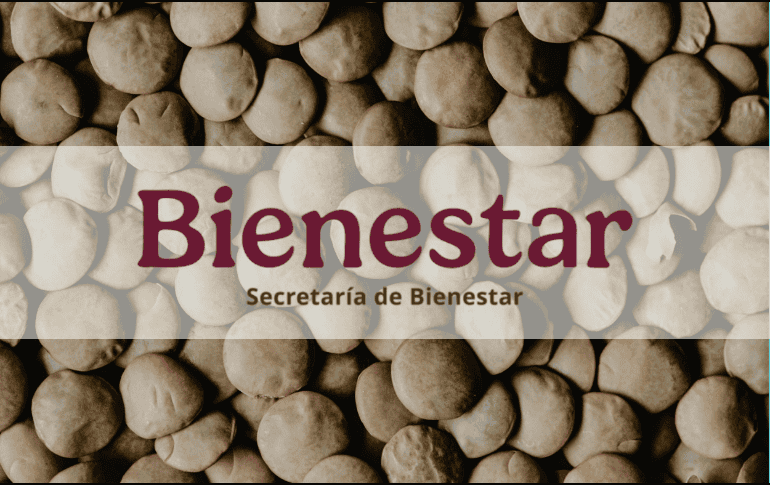 La directora general de Alimentación para el Bienestar destacó que el miércoles se recogerían las primeras 30 toneladas de lentejas. ESPECIAL/Canva