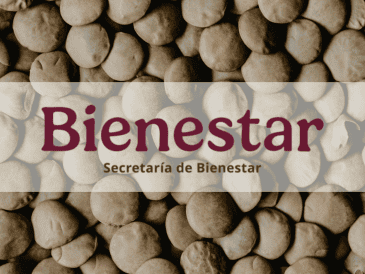 La directora general de Alimentación para el Bienestar destacó que el miércoles se recogerían las primeras 30 toneladas de lentejas. ESPECIAL/Canva