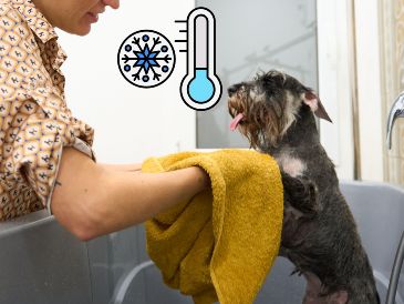 Durante los meses fríos, el baño continúa siendo parte fundamental de la higiene del perro. ESPECIAL / CANVA