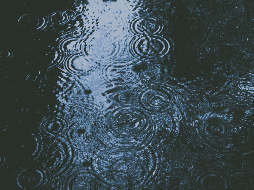 Para lo que resta del año, el IAM prevé temperaturas en rangos promedio. Unsplash