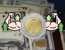 Así abre la cotización del dólar en los principales bancos de México. EL INFORMADOR / ARCHIVO