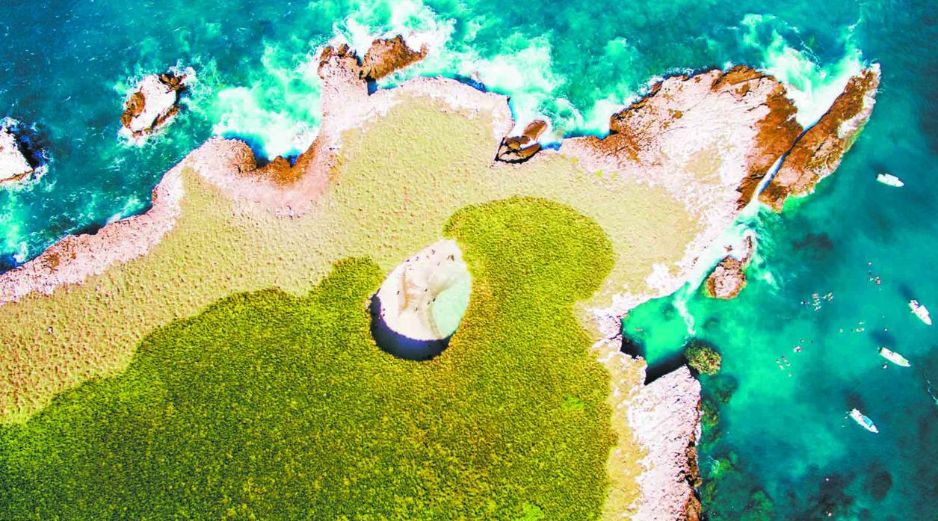 Esta playa escondida de Nayarit es un refugio de más de 100 especies, entre las que destacan: delfines, corales, tortugas, peces y aves. SUN / ARCHIVO