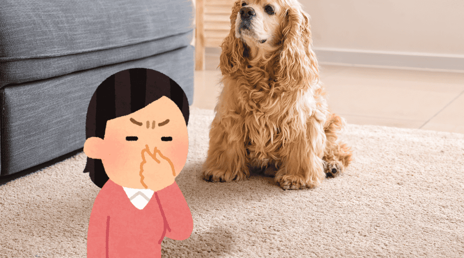 Los perros son unas de las mascotas en las que más cuidados se deben de tener al respecto. ESPECIAL / CANVA