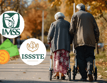 Ya se conocen las fechas en las que los pensionados del IMSS y del ISSSTE recibirán su pago. CANVA
