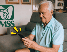 Los derechohabientes pueden consultar información verificada y actualizada en el portal del IMSS. CANVA