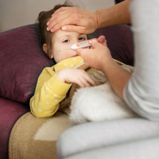 Influenza y otras enfermedades comunes en el invierno