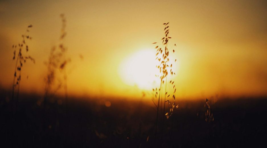 El solsticio de invierno señala el inicio de esta estación en el Hemisferio Norte y, de manera simultánea, el comienzo del verano en el Hemisferio Sur. UNSPLASH.