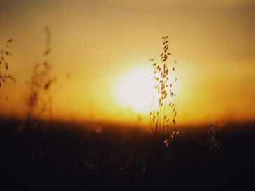 El solsticio de invierno señala el inicio de esta estación en el Hemisferio Norte y, de manera simultánea, el comienzo del verano en el Hemisferio Sur. UNSPLASH.