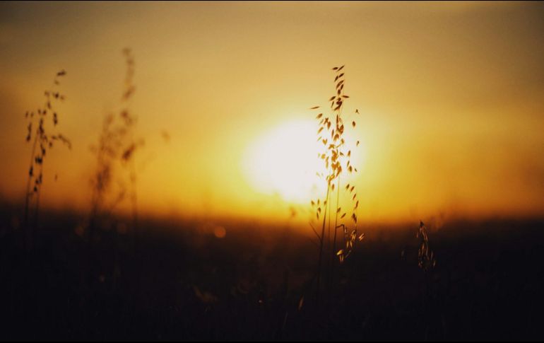 El solsticio de invierno señala el inicio de esta estación en el Hemisferio Norte y, de manera simultánea, el comienzo del verano en el Hemisferio Sur. UNSPLASH.
