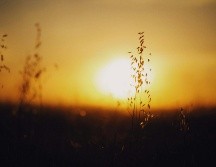 El solsticio de invierno señala el inicio de esta estación en el Hemisferio Norte y, de manera simultánea, el comienzo del verano en el Hemisferio Sur. UNSPLASH.