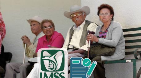 Solo a falta de la o el cónyuge, tendrá derecho a recibir la pensión, la persona con quien la persona asegurada o pensionada vivió como si fuera su matrimonio durante los 5 años que precedieron inmediatamente a su muerte. SUN / ARCHIVO